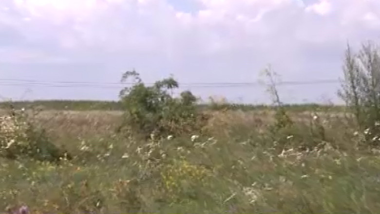 Mii de hectare de teren zac in paragina, iar fostele CAP-uri sunt aproape culcate la pamant  Imagine