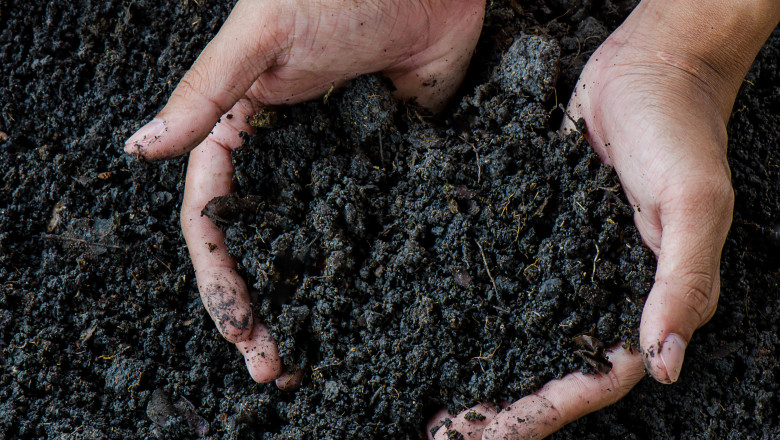 Ministerul Agriculturii: Ploile din ultimele zile au refacut rezerva de apa din sol in majoritatea regiunilor agricole Imagine