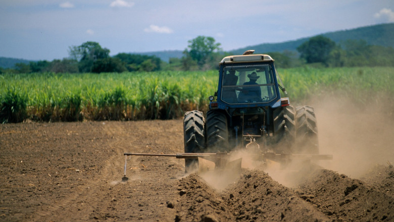 Ministerul Agriculturii va lansa schema de ajutor „Creditul Fermierului”. Care sunt conditiile pentru a obtine 50.000 de euro Imagine