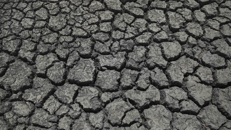 Ministerul Mediului: Pana la finalul anului, Romania va avea o strategie nationala de combatere a desertificarii Imagine