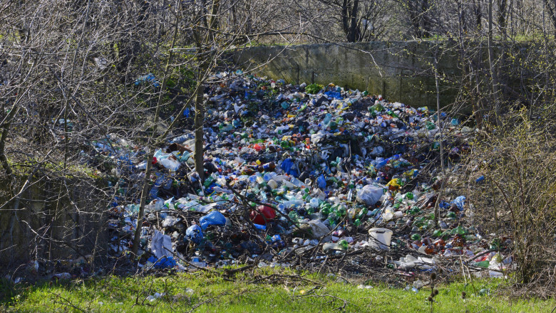 Ministra Mediului, despre gunoaiele aruncate pe camp: „Daca mai aud de o campanie de reciclare cu flyere pe hartie o sa innebunesc” Imagine