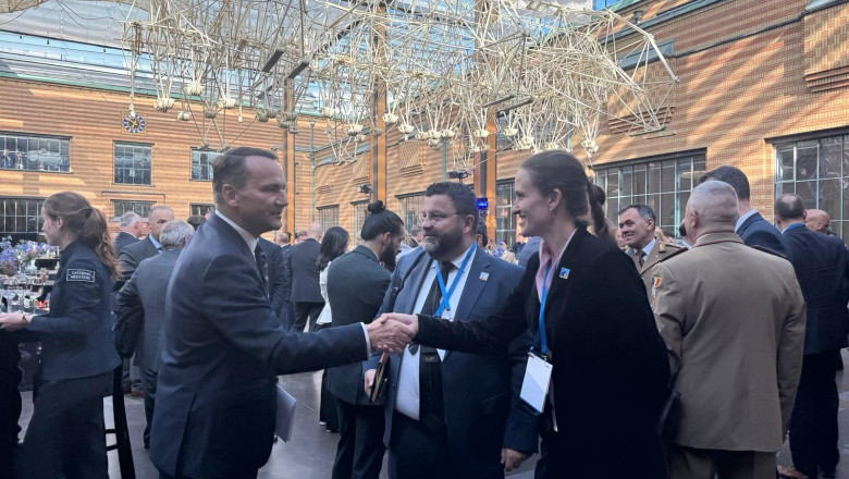 Ministrul de Externe, Oana toiu, a participat la Consiliul NATO-Ucraina: „Avem o misiune importanta de indeplinit impreuna” Imagine