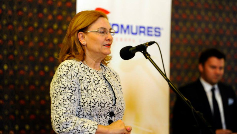 Ministrul Grapini: Proiectul privind Rosia Montana, trimis de Guvern, nu poate fi votat Imagine