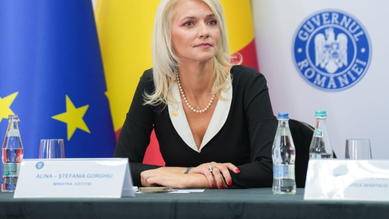 Ministrul Justitiei: A fost emis un nou mandat european de arestare pe numele lui Mario Iorgulescu Imagine