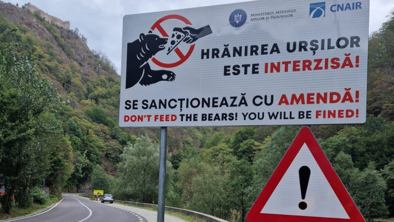 Ministrul Mediului anunta amenzi mai mari si modificari in legislatie pentru cei care hranesc ursii pe marginea drumurilor Imagine