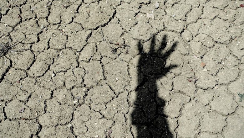 Ministrul Mediului: Clima din Romania va fi asemanatoare cu cea din Grecia in 20 de ani. Sudul tarii se transforma intr-o mica Sahara Imagine