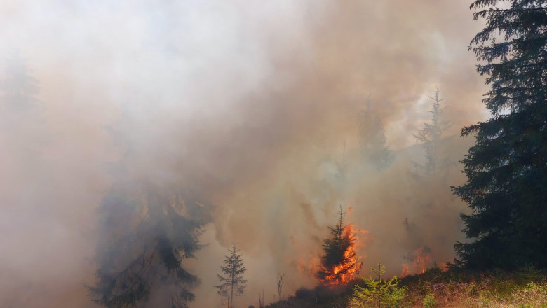 Ministrul Mediului: Pericolul de incendii este urias. Inca sunt cetateni care nu inteleg asta Imagine