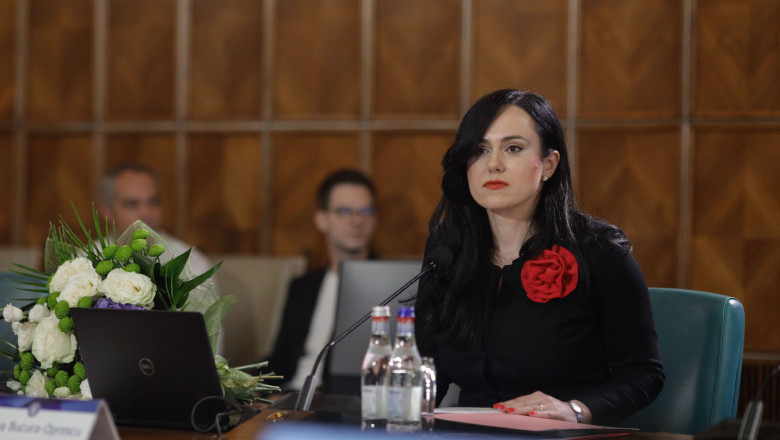 Ministrul Muncii a trimis Corpul de Control in Mures. Simona Bucura-Oprescu: Nu exista o explicatie umana sau institutionala Imagine