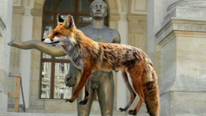 Ministrul „pacalit” de vulpe. Remus Pricopie, tinta ironiilor in spatiul online Imagine