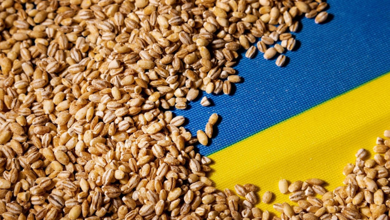Ministrul ungar al agriculturii acuza UE ca protejeaza „investitorii din SUA, Arabia Saudita si tarile de Jos” in scandalul cerealelor Imagine