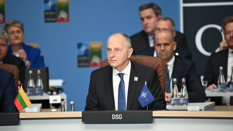 Mircea Geoana: Ucraina are nevoie urgenta de aparare aeriana. NATO nu are nicio intentie sa intervina in acest conflict Imagine