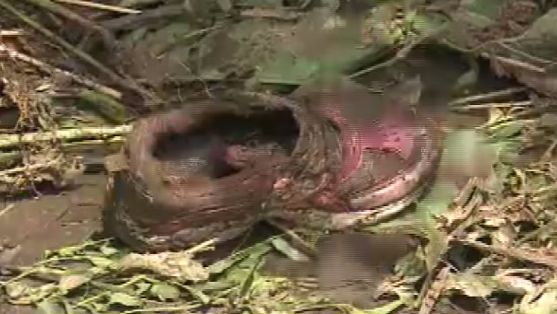 Misiune cu final tragic: copilul luat de viitura a fost gasit fara suflare Imagine