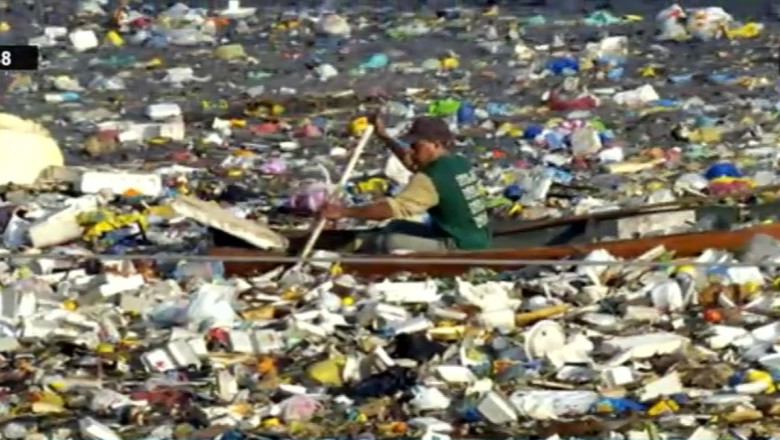 Mister. Plasticul aruncat in oceane, de negasit Imagine