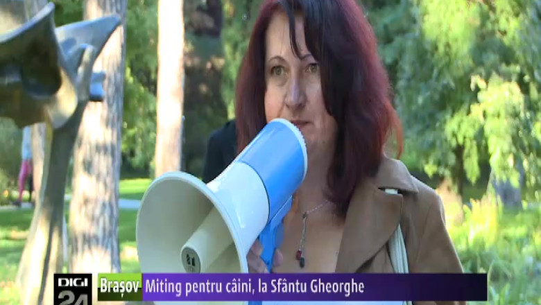 Miting pentru caini, la Sfantu Gheorghe Imagine