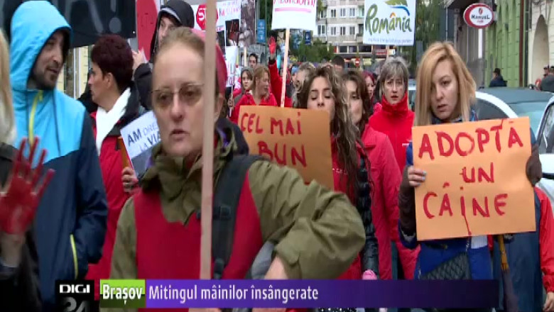 Miting-ul mainilor insangerate Imagine