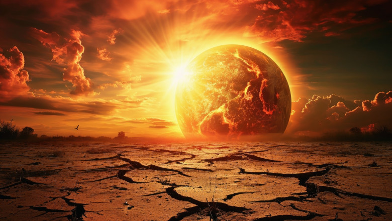 „Moartea cea Mare”: De ce a sasea extinctie in masa, comparabila cu cea care a dus la disparitia dinozaurilor, ar putea fi inevitabila Imagine