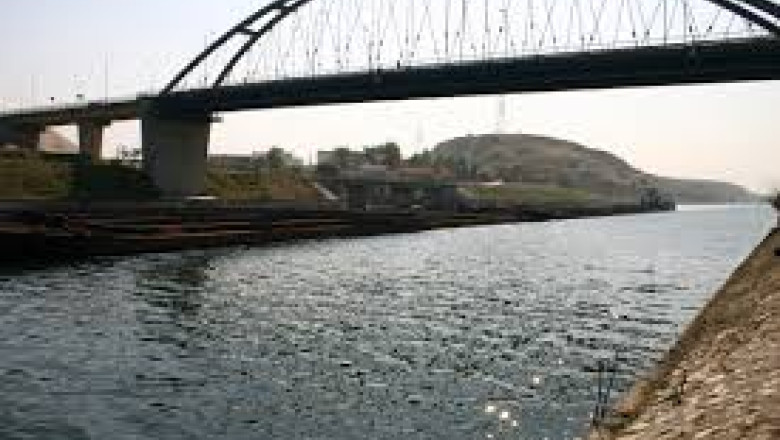 Moartea vine pe sub apa. Poluarea de pe Canalul Dunare Marea Neagra a omorit tone de peste Imagine