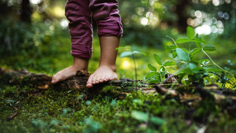 Mobilizare de forte in Buzau. Un copil a fost cautat de 100 de oameni, dupa ce a fugit in padure, revoltat ca a pierdut la un joc Imagine