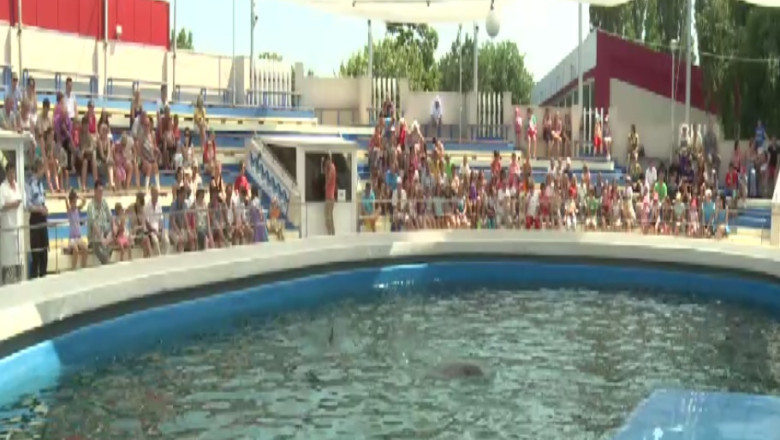 Modernizari la Delfinariul din Constanta Imagine