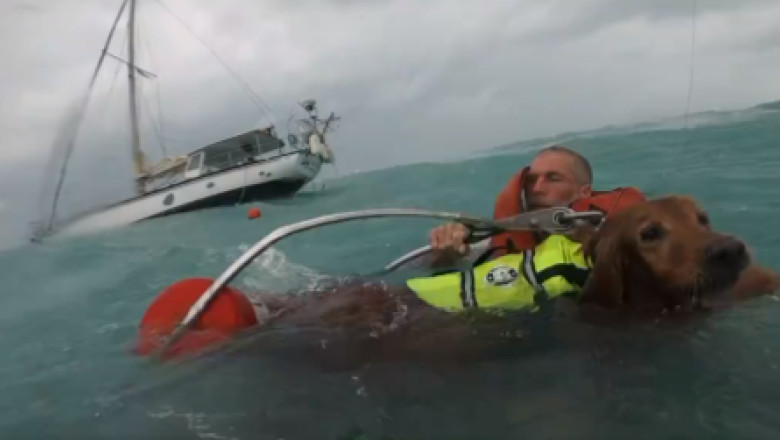 Momentul in care Paza de Coasta a SUA salveaza un barbat si cainele sau de pe o barca cu panze in timpul uraganului Helene Imagine