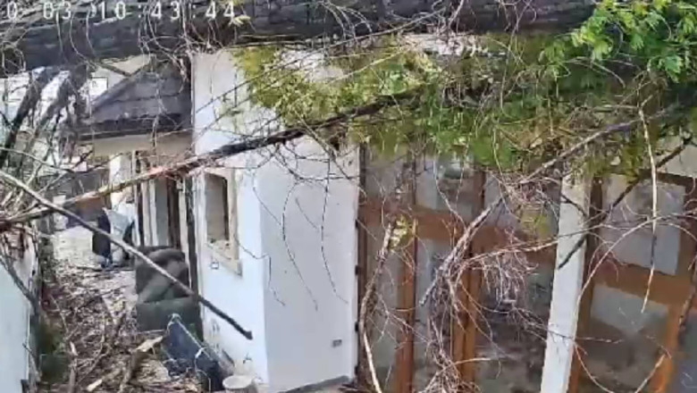 Momentul in care vantul puternic doboara un copac peste o casa, in Bucuresti Imagine