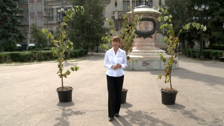 Monica Macovei a donat trei tei orasului Iasi Imagine