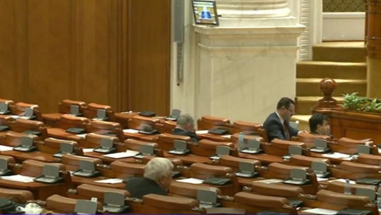 Motiunea PDL privind descentralizarea, dezbatuta cu sala goala Imagine