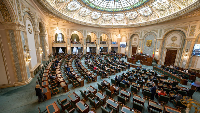 Motiunea simpla depusa de AUR impotriva ministrului Educatiei, Daniel David, a fost respinsa la vot de Senat Imagine