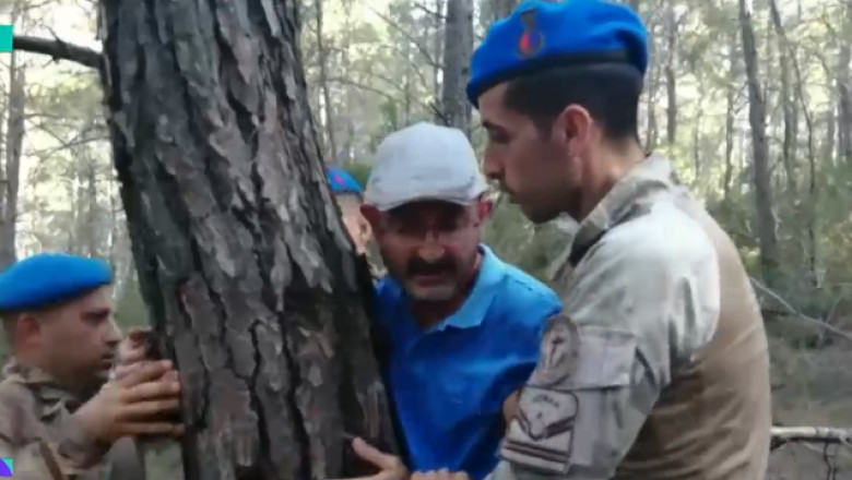 Motivul pentru care sute de oameni s-au legat de copaci intr-o padure din Turcia Imagine