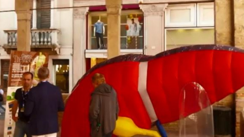 Mulaje gigantice in centrul Clujului Imagine