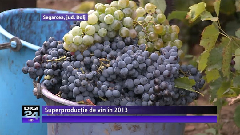 Multi struguri in 2013: Romania va avea o productie de vin mai mare cu 20% fata de anul trecut Imagine