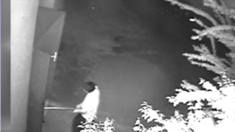 Muncitorii angajati sa reabiliteze spitalul judetean din Timisoara au fost prinsi la furat Imagine