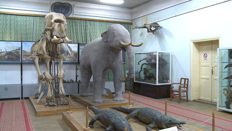 Muzeu in pericol de prabusire. Cladirea are nevoie de 2 milioane de euro pentru reabilitare Imagine