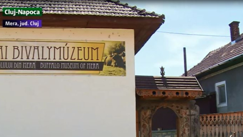 Muzeul Bivolului din Mera, unic in Europa Imagine