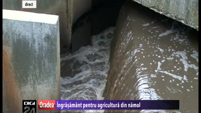 Namol transformat in ingrasamant Imagine