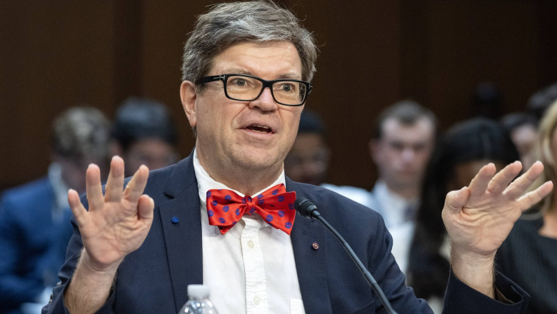 „Nasul” inteligentei artificiale a explicat de ce AI-ul nu va ajunge la fel de destept ca un om: Va fi ca un caine sau o pisica Imagine