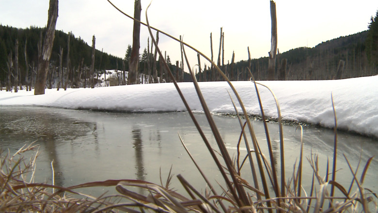 NEAMT. Zeci de gospodarii, in pericol de inundatie Imagine