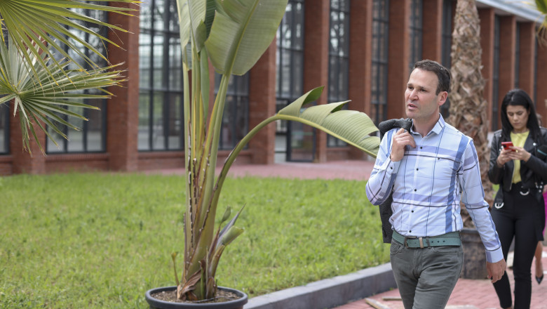 Negoita se lauda cu palmierii: „Rezista pana la -20 de grade Celsius. I-am luat din Italia, mi-au zis ca sunt buni pentru Bucuresti” Imagine