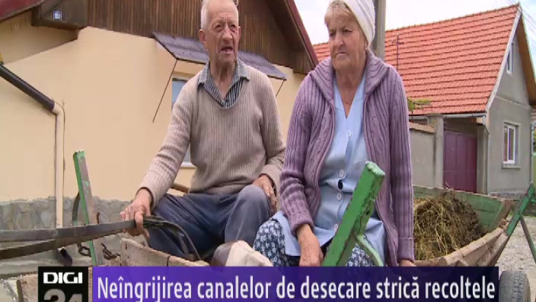 Neingrijirea canalelor de desecare strica recoltele Imagine