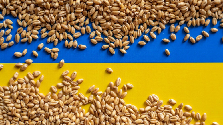 Neintelegeri in UE privind prelungirea restrictiilor pentru cerealele din Ucraina Imagine
