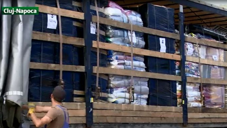 Nemtii sar in ajutorul cainilor batuti in adapostul de la Dej Imagine