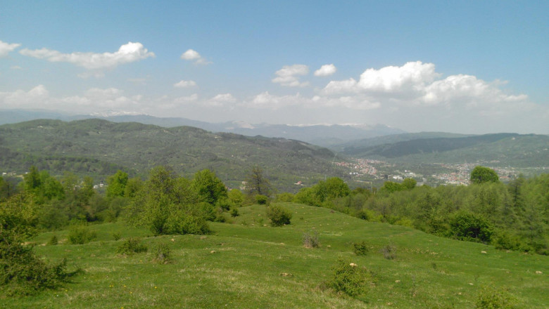 Nicio firma nu s-a prezentat la licitatiile de promovare a Romaniei in Marea Britanie si Italia Imagine