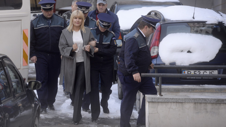 Nicolae Mircovici, despre discursul Elenei Udrea in plen: „Nu intrarea in cladire incatusata este o problema” Imagine