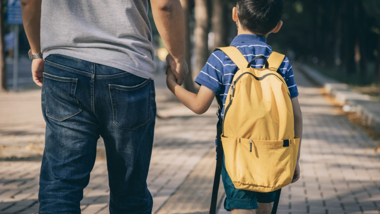 Nicusor Dan a atacat la CCR obligatia ca un copil sa mearga la psiholog fara conditia acordului parental