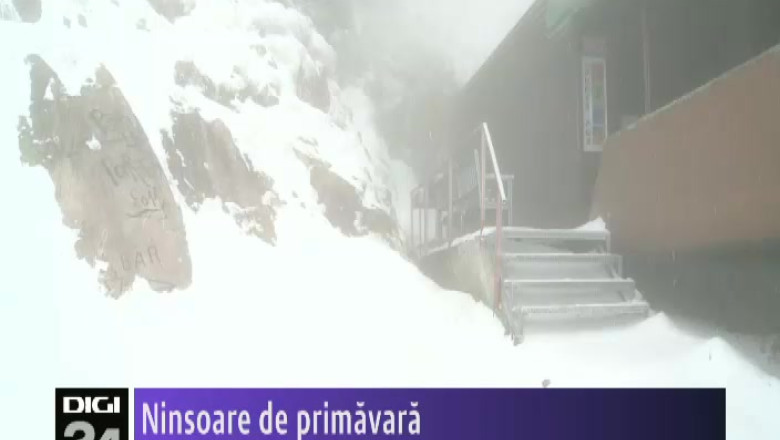  Ninsoare de primavara Imagine