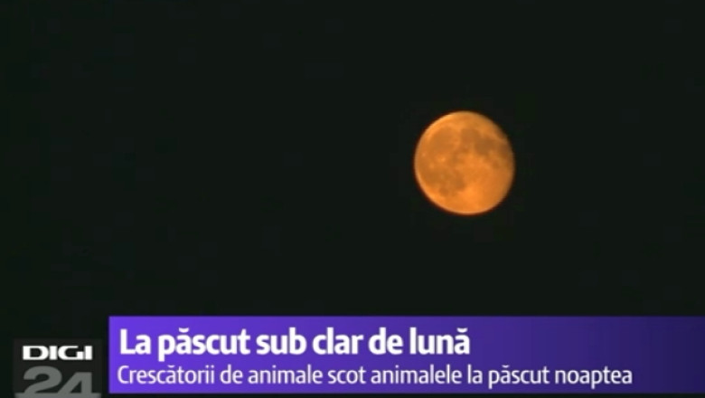 Noaptea, evadarea din canicula. Orasenii umplu terasele, animalele merg la pascut Imagine