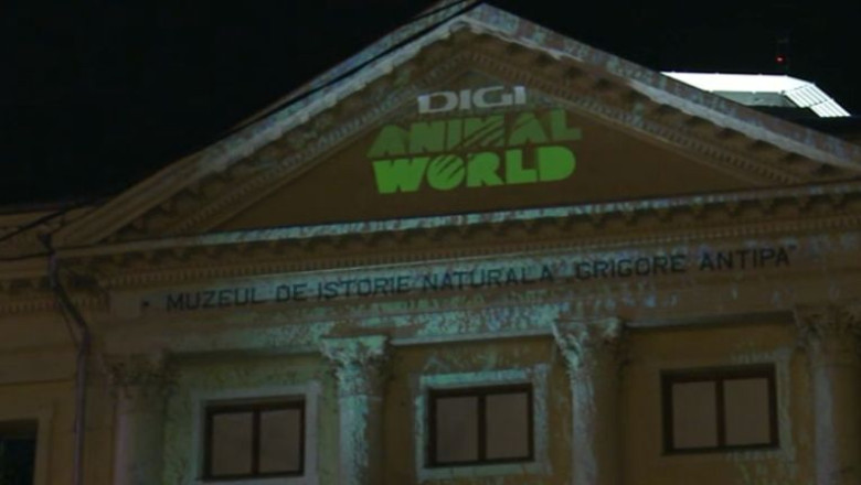 Noaptea Muzeelor 2014. Digi Animal World a organizat o proiectie 3D pe fatada Muzeului Antipa Imagine