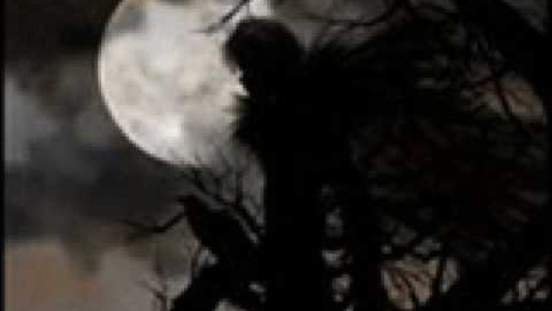 Noaptea vrajitoarelor. De Sfantul Andrei fetele isi afla ursitul Imagine