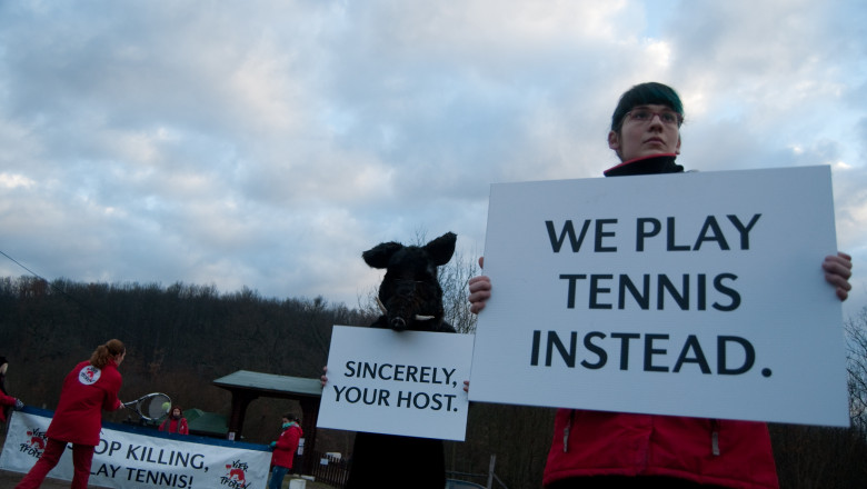 Noi proteste la Balc. Activistii pentru protectia animalelor cer oprirea vanatorii Imagine