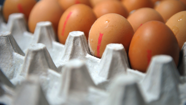 NOU SCANDAL ALIMENTAR. Salmonella, in praf de oua exportat din Romania Imagine